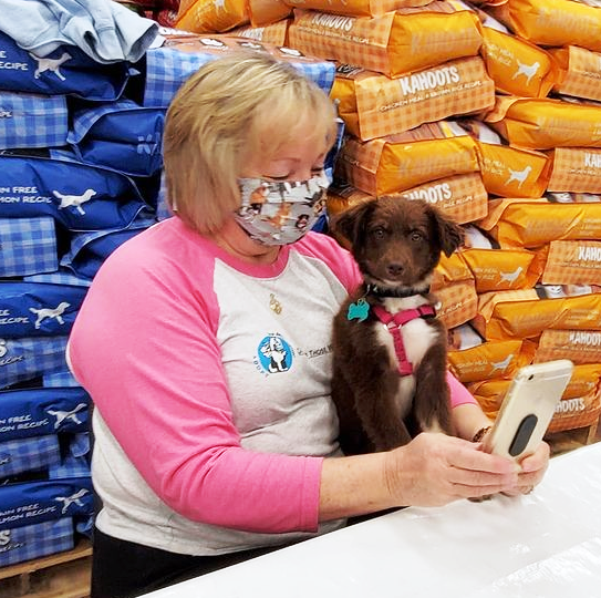 Puppy and volunteer Cheri chilling together at an adoption event.