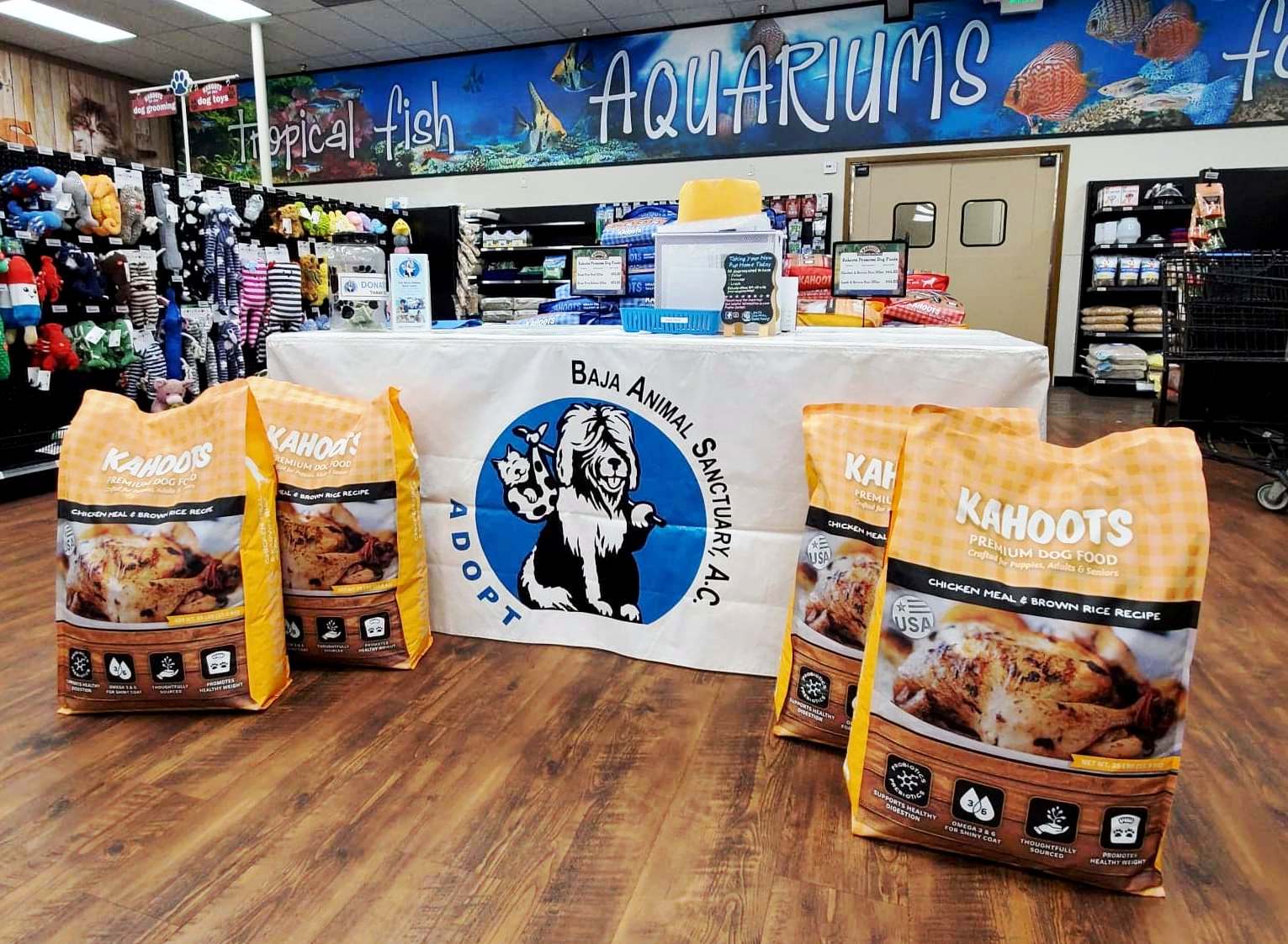 Main adoption table at Kahoots in Rancho Penasquitos.