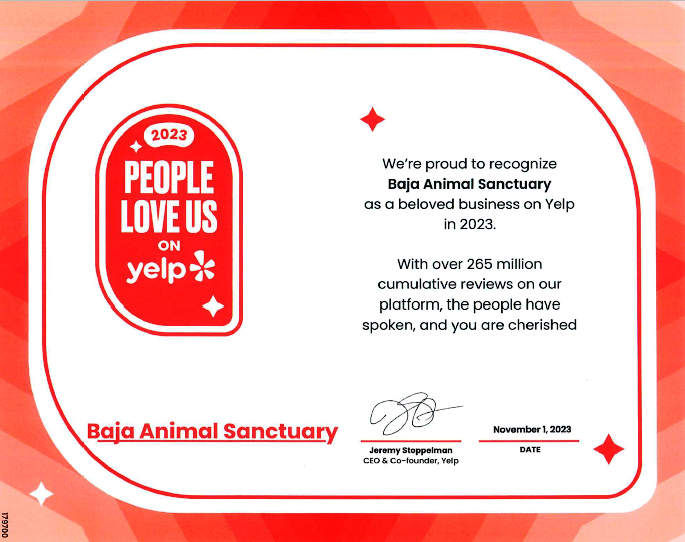 We're proud to recognize Baja Animal Sanctuary as a beloved business on Yelp in 2023. With over 265 million cumulative reviews on our platform, the people have spoken, and you are cherished.