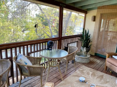 Catio at the foster home