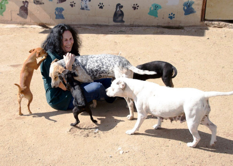 Judy visiting the sanctuary, getting smothered by puppies and Topo.