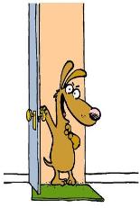 Affordable Pet Doors